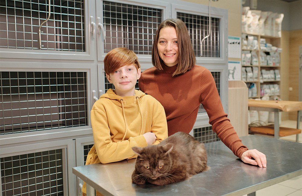 So, You Want To Get A Cat As A Pet
